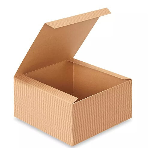 Open cardboard box on a white background