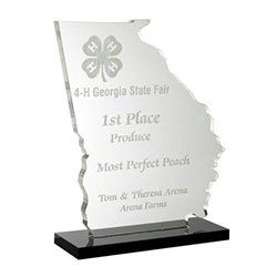 State of Georgia Award
