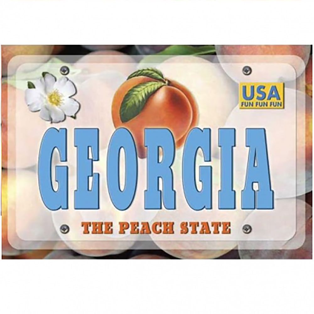 MAGNET Greetings From Photo Magnet State GEORGIA 
